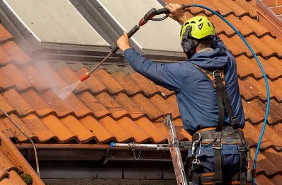 Démoussage et hydrofuge de toiture à Bergères